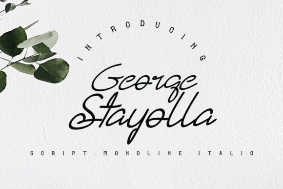 George Stayolla Font: Elegant Script for Branding