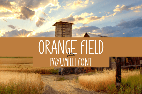 Payumilli: A Modern Font for Business Branding