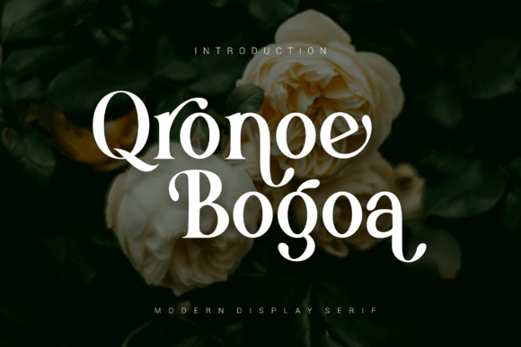 Qronoe Bogoa: A Serif Font That Earns Its Place in Campaign Visuals