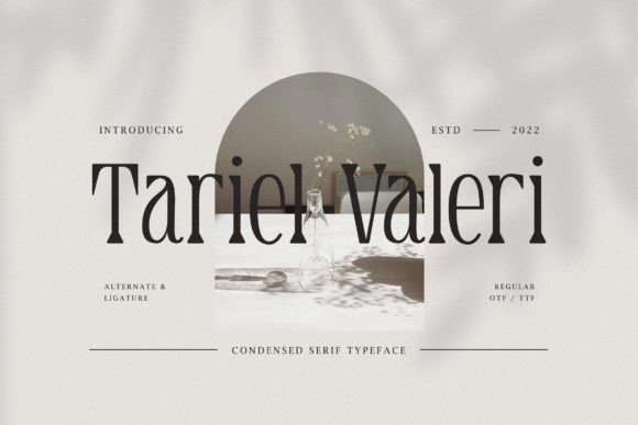 Tariel Valeri Font Review