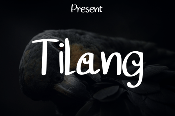 Tilang: A Script Typeface for Elegant Branding